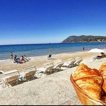 T2 Avec Clim Et Terrasse Vue Mer, Les Sablettes Ла Сен-сюр-Мер Екстериор снимка